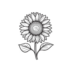 Sunflower flower outline illustration coloring book page design, Sunflower flower black and white line art drawing coloring book pages for children and adults