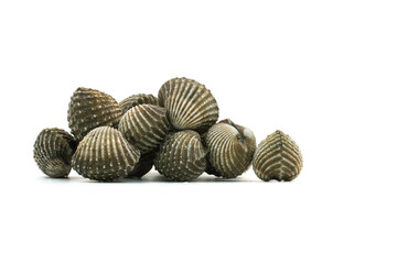 Fresh cockles on white background