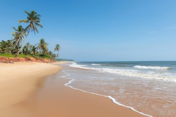 Serene Beachfront Paradise with Palm Trees and Gentle Waves Under a Clear Blue Sky