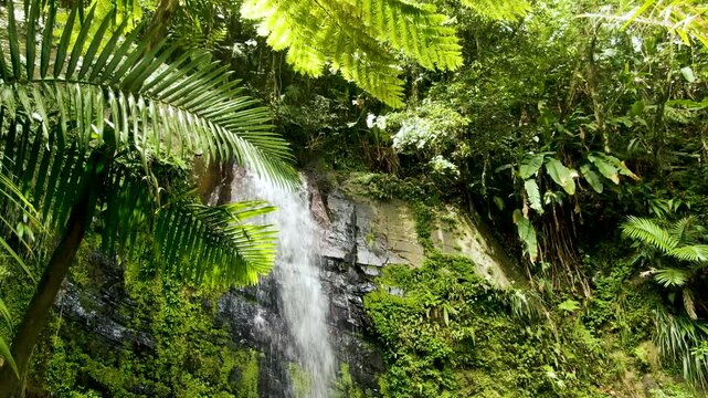 View from down to up to the top of a small waterfall surrounded by greenery. El Yunque