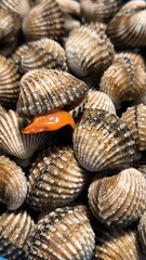 Clams in a restaurant. Seafood.