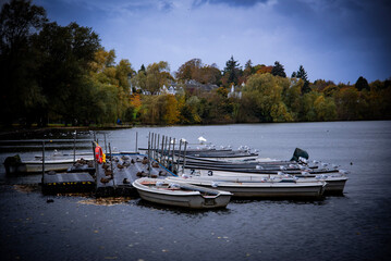 A group of seagulls perched calmly on a boat, gently floating on a peaceful lake, surrounded by the...