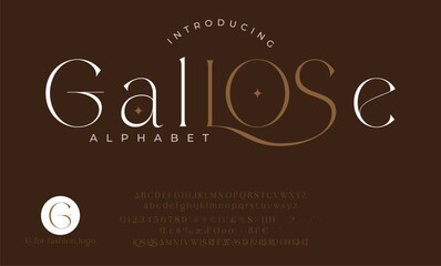 Gallose Serif, Cosmetic, Fashion Stylish Display Bold Font alphabet