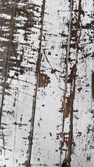 Obraz premium White painted and old wood