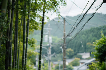 Soft focus view of bamboo forests in Arashiyama, with power lines and mountains in background, creating serene and tranquil atmosphere