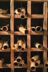 Closeup of enchanted library with scrolls in wooden box