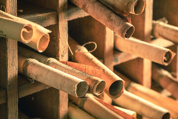 Magic scribe library full of valuable scrolls