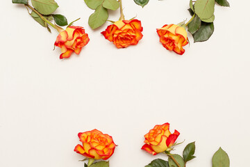 Two pink flowers of Eustoma isolated on white background