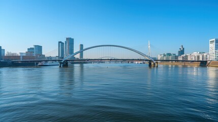 Naklejka premium Panoramic View of Modern Steel Bridge and Cityscape