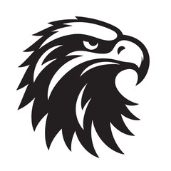 Obraz premium Black and white eagle head with sharp beak.