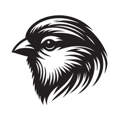 Black and white illustration of a bird's head with detailed feathers.