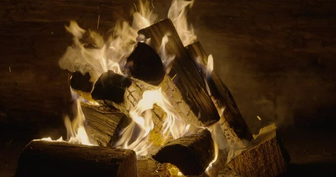 campfire with burning logs