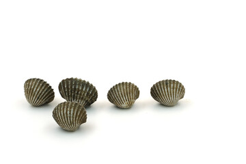 Fresh cockles on white background