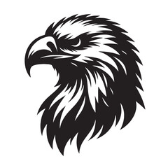 Fototapeta premium Black and white illustration of an eagle's head.
