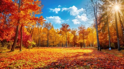 Vibrant Autumn Landscape with Colorful Forest Trees