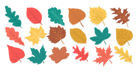 Flat design autumn leaves collection