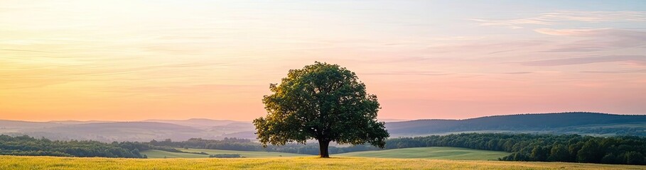 Fototapeta premium A serene landscape with a tree and a person sitting in a green field at sunset.