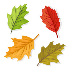 four collection of autumn leaves
