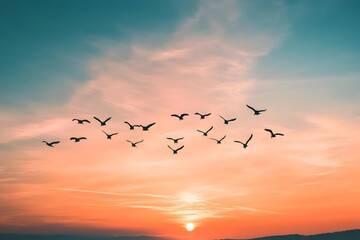 Obraz premium Migrating birds flying at sunset