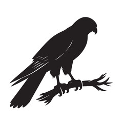 Fototapeta premium Black silhouette of a bird of prey on a branch.