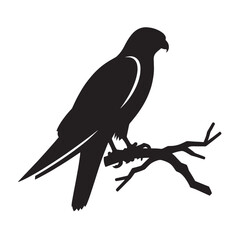Black silhouette of a falcon perched on a branch.