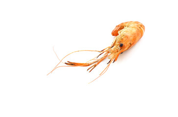 shrimp isolated on white background