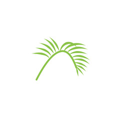 vector green tropical leaf