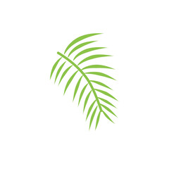 vector green tropical leaf