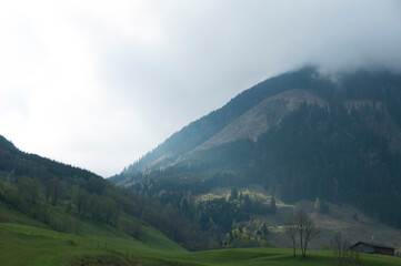 landscape in the morning