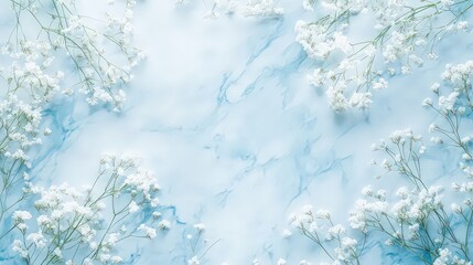 Gypsophila flowers on blue marble and blue background