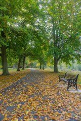 Autumn time in a Park UK