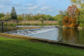 Lake in a Park UK, during Autumn