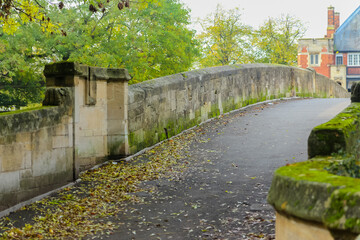 A bridge over a river in a Park in the UK, during Autumn.