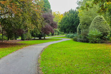 Autumn time in a park in the UK.