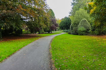 Autumn time in a park in the UK.