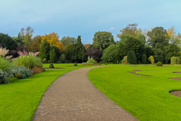 Autumn in a park in the UK.