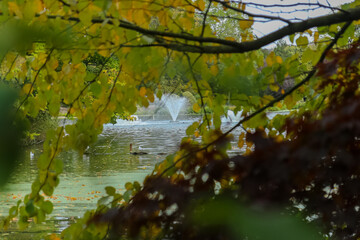 Autumn in a park around a lake in the UK.