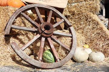 A rustic wooden wheel adorned with vibrant pumpkins and arranged hay bales for decoration