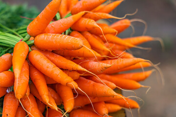 Fresh carrot bunches in open market, Ooty India