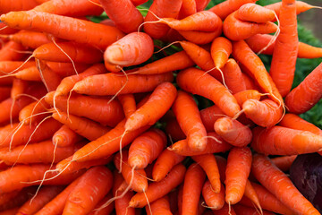 Fresh carrot bunches in open market, Ooty India