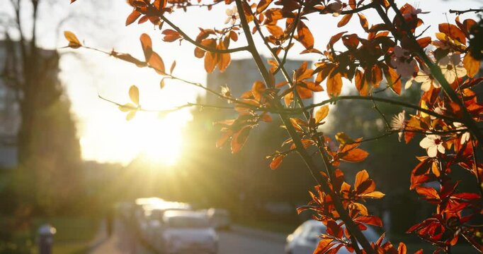 Autumn in the Park