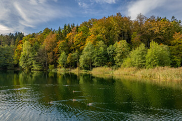 Aerial autumn morning view of colouful trees, forest, Green lakes (Zalieji ezerai) in Vilnius, Lithuania