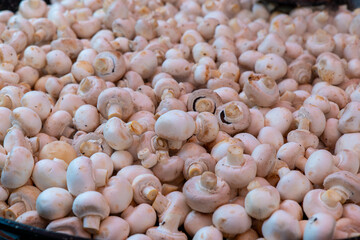 A close-up shot of a large quantity of white button mushrooms