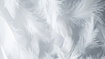 Obraz premium Elegant Feathers Luxury Mockup with Cinematic Light | Soft Gray Whimsical Background for Beauty Products