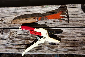 Garden tools, pruning shears, a knot cutter, a hoe, a loosener.
 Commonly used garden tools are a hoe, a loosener, a hoe, a knot cutter, a pruner.