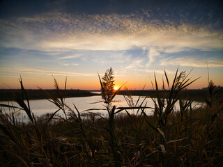 Sonnenaufgang im Schilfgürtel am Neusiedler See