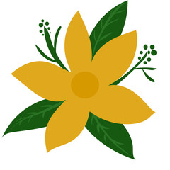 flower isolated on white