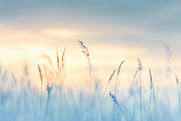 Obraz premium Tall grasses in focus against a soft blue sky, sunset in the distance, blurred background symbolizing nature’s beauty and freedom