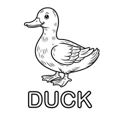 Cute outline drawing of a duck on a white background. vector illustration for a coloring book.