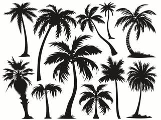 Silhouettes of palm trees against a light background showcasing tropical elegance.